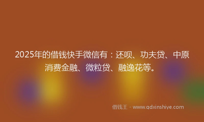 2025年的借钱快手微信有：还呗、功夫贷、中原消费金融、微粒贷、融逸花等。