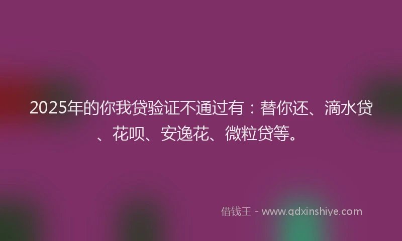 2025年的你我贷验证不通过有：替你还、滴水贷、花呗、安逸花、微粒贷等。