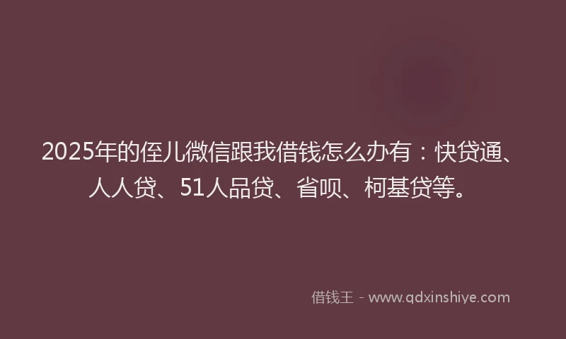 2025年的侄儿微信跟我借钱怎么办有：快贷通、人人贷、51人品贷、省呗、柯基贷等。