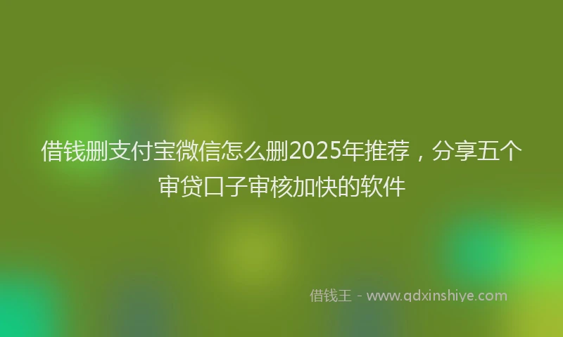 借钱删支付宝微信怎么删2025年推荐，分享五个审贷口子审核加快的软件