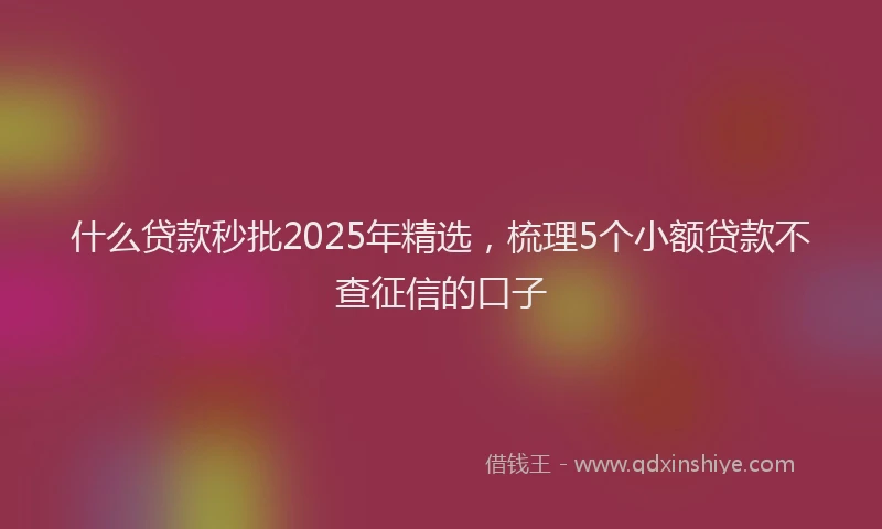 什么贷款秒批2025年精选，梳理5个小额贷款不查征信的口子
