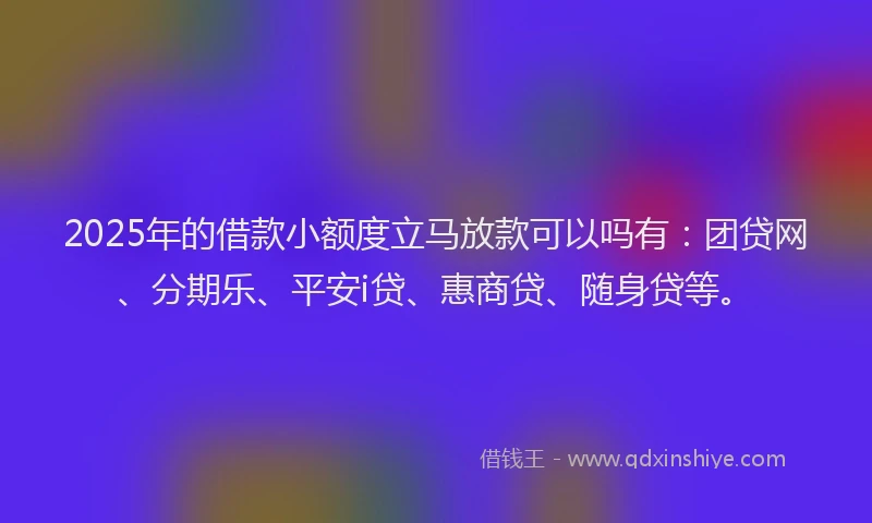 2025年的借款小额度立马放款可以吗有：团贷网、分期乐、平安i贷、惠商贷、随身贷等。
