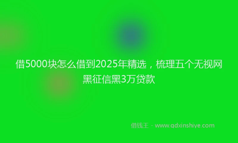 借5000块怎么借到2025年精选，梳理五个无视网黑征信黑3万贷款