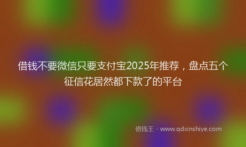 借钱不要微信只要支付宝2025年推荐，盘点五个征信花居然都下款了的平台