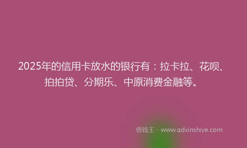 2025年的信用卡放水的银行有：拉卡拉、花呗、拍拍贷、分期乐、中原消费金融等。