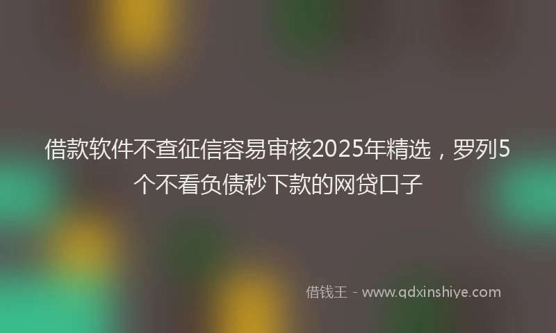 借款软件不查征信容易审核2025年精选，罗列5个不看负债秒下款的网贷口子