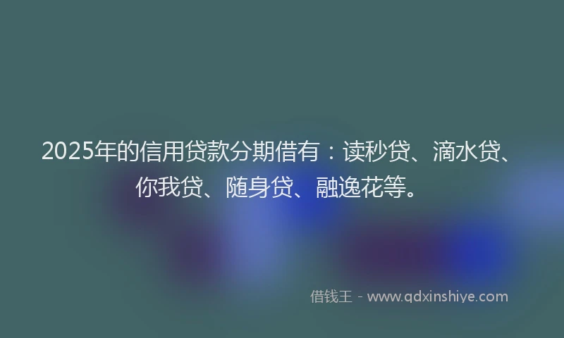 2025年的信用贷款分期借有：读秒贷、滴水贷、你我贷、随身贷、融逸花等。
