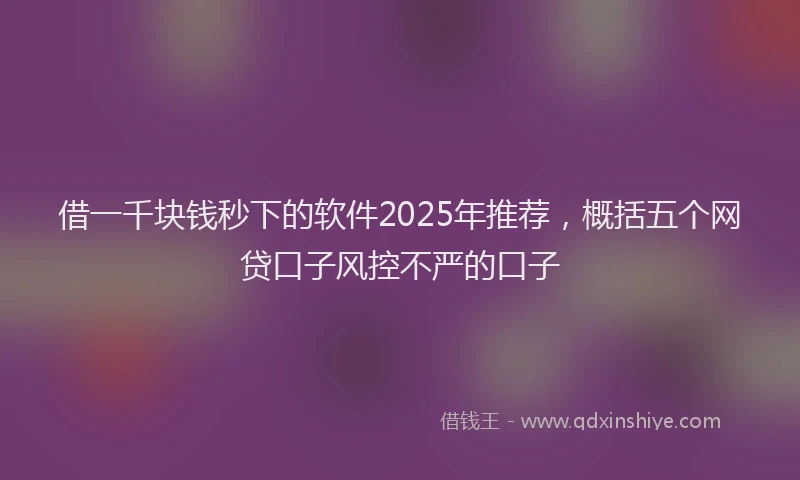 借一千块钱秒下的软件2025年推荐，概括五个网贷口子风控不严的口子