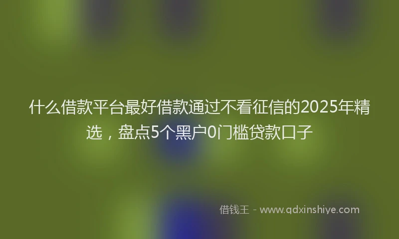 什么借款平台最好借款通过不看征信的2025年精选，盘点5个黑户0门槛贷款口子