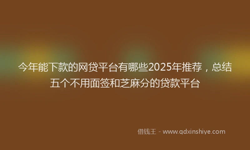 今年能下款的网贷平台有哪些2025年推荐，总结五个不用面签和芝麻分的贷款平台