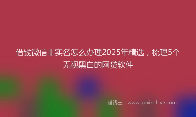 借钱微信非实名怎么办理2025年精选，梳理5个无视黑白的网贷软件