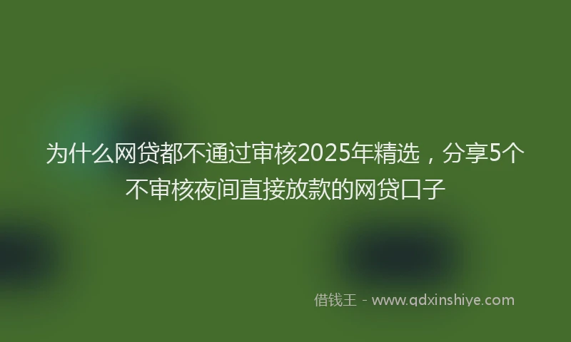 为什么网贷都不通过审核2025年精选，分享5个不审核夜间直接放款的网贷口子