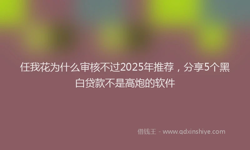 任我花为什么审核不过2025年推荐，分享5个黑白贷款不是高炮的软件