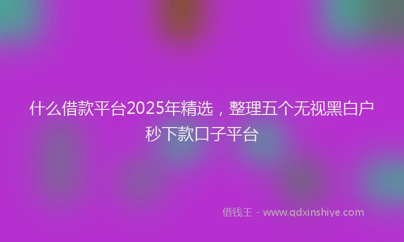 什么借款平台2025年精选，整理五个无视黑白户秒下款口子平台