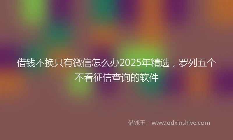 借钱不换只有微信怎么办2025年精选，罗列五个不看征信查询的软件