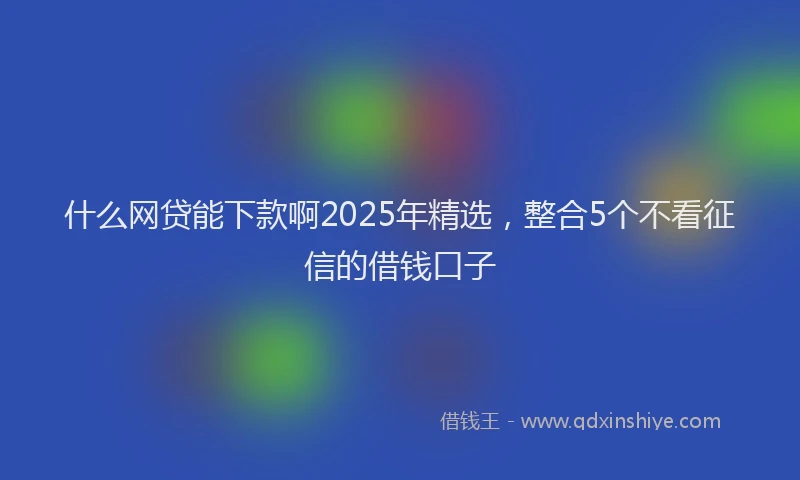 什么网贷能下款啊2025年精选，整合5个不看征信的借钱口子
