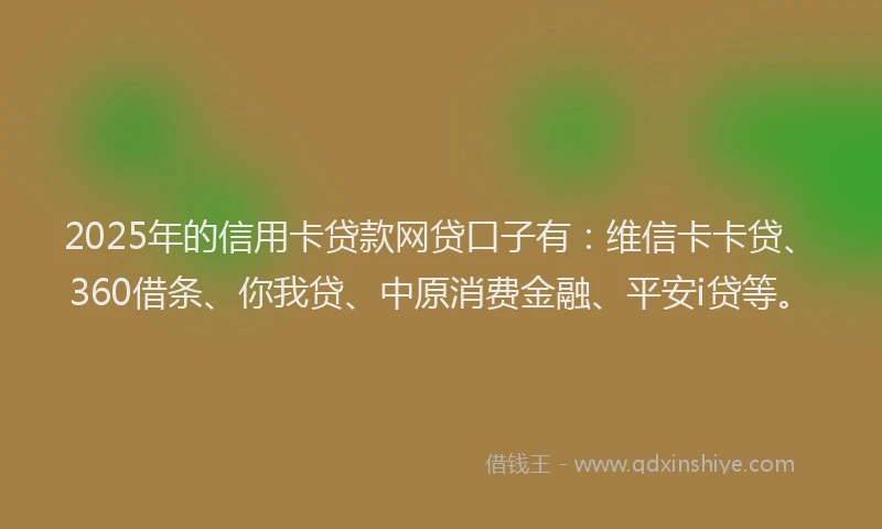 2025年的信用卡贷款网贷口子有：维信卡卡贷、360借条、你我贷、中原消费金融、平安i贷等。