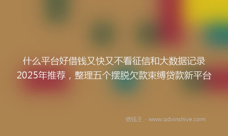 什么平台好借钱又快又不看征信和大数据记录2025年推荐，整理五个摆脱欠款束缚贷款新平台