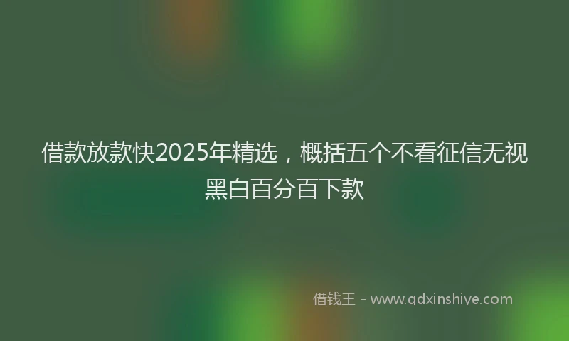借款放款快2025年精选，概括五个不看征信无视黑白百分百下款