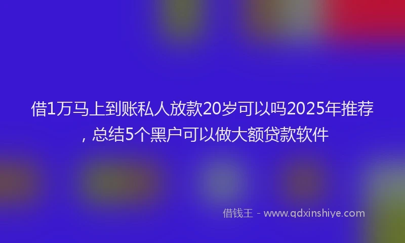 借1万马上到账私人放款20岁可以吗2025年推荐，总结5个黑户可以做大额贷款软件