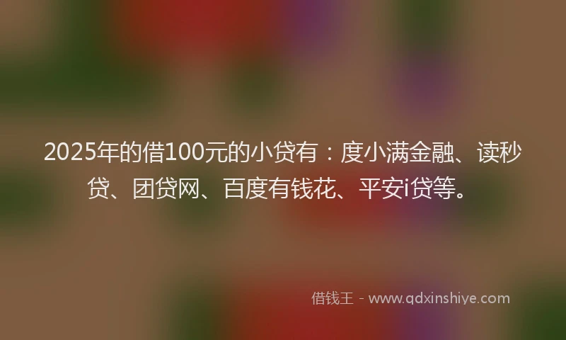 2025年的借100元的小贷有：度小满金融、读秒贷、团贷网、百度有钱花、平安i贷等。