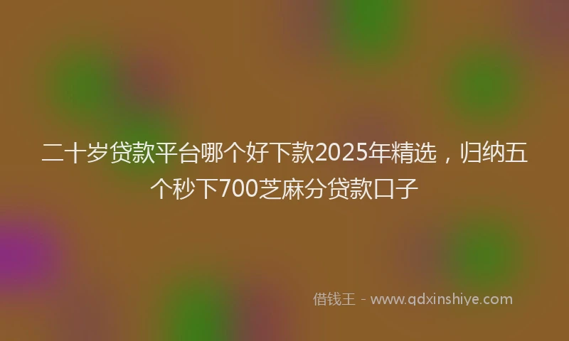 二十岁贷款平台哪个好下款2025年精选，归纳五个秒下700芝麻分贷款口子