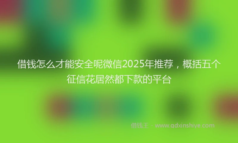 借钱怎么才能安全呢微信2025年推荐，概括五个征信花居然都下款的平台