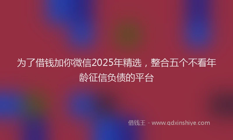 为了借钱加你微信2025年精选，整合五个不看年龄征信负债的平台