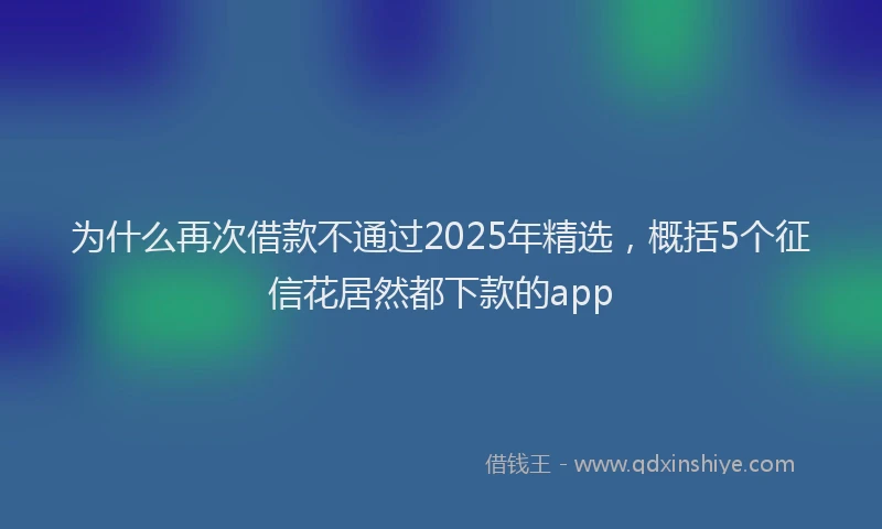 为什么再次借款不通过2025年精选，概括5个征信花居然都下款的app