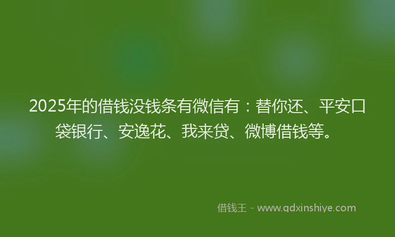 2025年的借钱没钱条有微信有：替你还、平安口袋银行、安逸花、我来贷、微博借钱等。