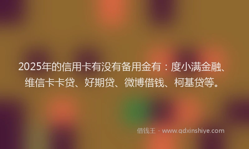 2025年的信用卡有没有备用金有：度小满金融、维信卡卡贷、好期贷、微博借钱、柯基贷等。