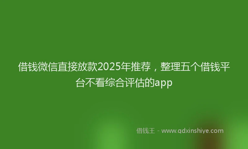借钱微信直接放款2025年推荐，整理五个借钱平台不看综合评估的app