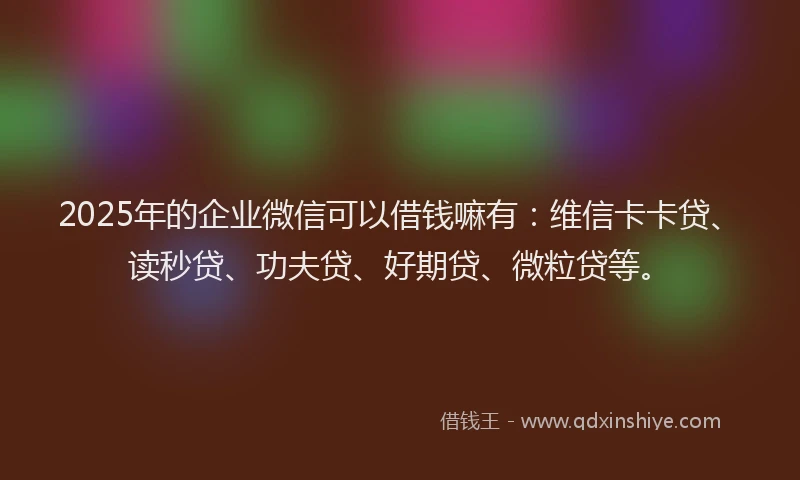 2025年的企业微信可以借钱嘛有：维信卡卡贷、读秒贷、功夫贷、好期贷、微粒贷等。