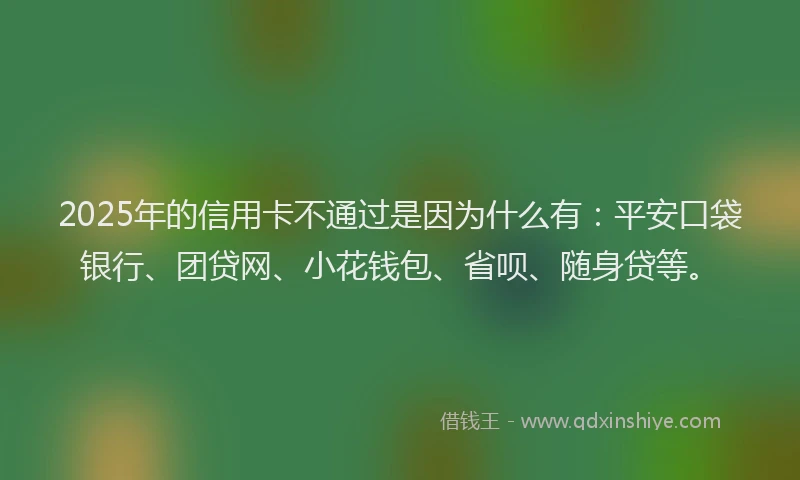 2025年的信用卡不通过是因为什么有：平安口袋银行、团贷网、小花钱包、省呗、随身贷等。