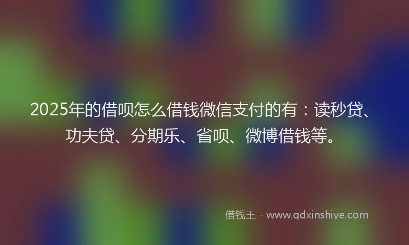 2025年的借呗怎么借钱微信支付的有：读秒贷、功夫贷、分期乐、省呗、微博借钱等。