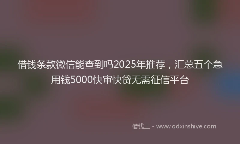 借钱条款微信能查到吗2025年推荐，汇总五个急用钱5000快审快贷无需征信平台