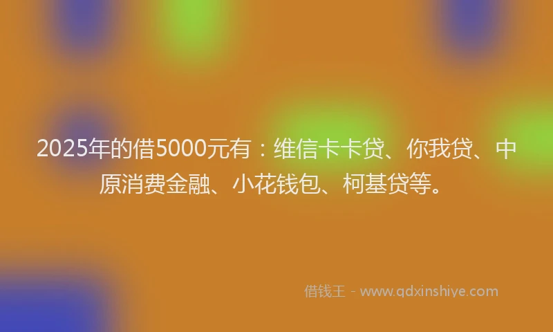 2025年的借5000元有：维信卡卡贷、你我贷、中原消费金融、小花钱包、柯基贷等。