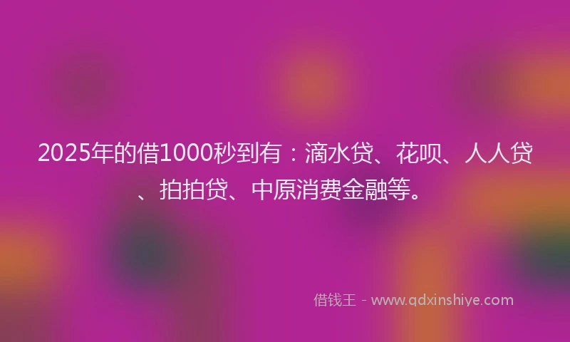 2025年的借1000秒到有：滴水贷、花呗、人人贷、拍拍贷、中原消费金融等。