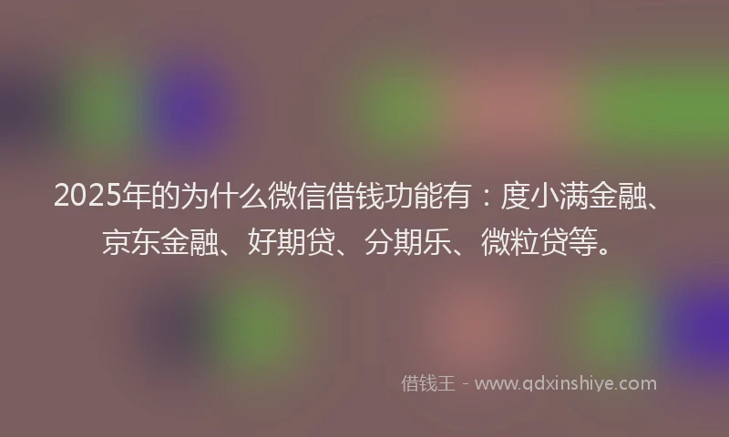 2025年的为什么微信借钱功能有：度小满金融、京东金融、好期贷、分期乐、微粒贷等。