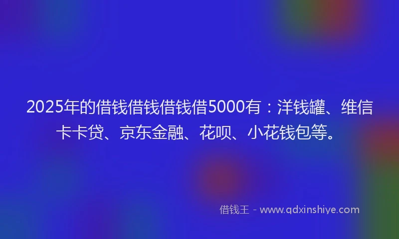 2025年的借钱借钱借钱借5000有：洋钱罐、维信卡卡贷、京东金融、花呗、小花钱包等。