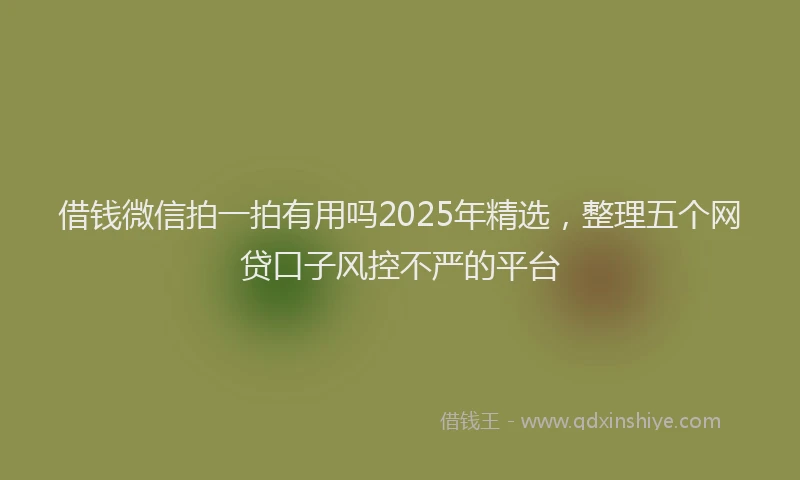 借钱微信拍一拍有用吗2025年精选，整理五个网贷口子风控不严的平台