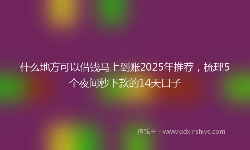 什么地方可以借钱马上到账2025年推荐，梳理5个夜间秒下款的14天口子