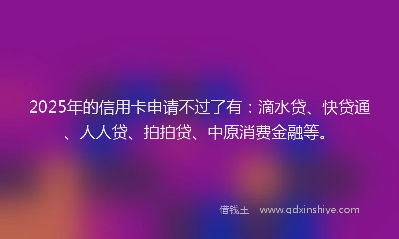2025年的信用卡申请不过了有：滴水贷、快贷通、人人贷、拍拍贷、中原消费金融等。