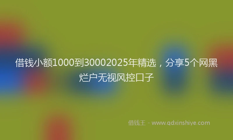 借钱小额1000到30002025年精选，分享5个网黑烂户无视风控口子