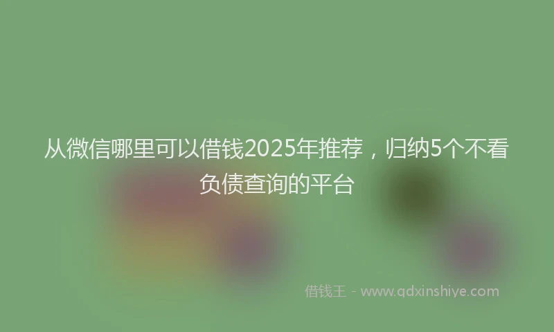 从微信哪里可以借钱2025年推荐，归纳5个不看负债查询的平台