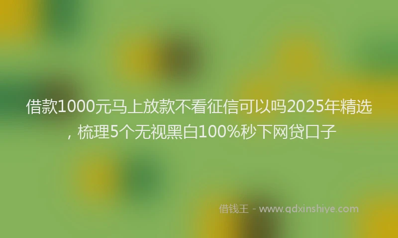 借款1000元马上放款不看征信可以吗2025年精选，梳理5个无视黑白100%秒下网贷口子