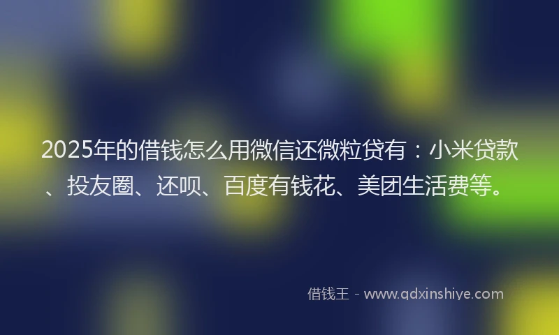 2025年的借钱怎么用微信还微粒贷有：小米贷款、投友圈、还呗、百度有钱花、美团生活费等。