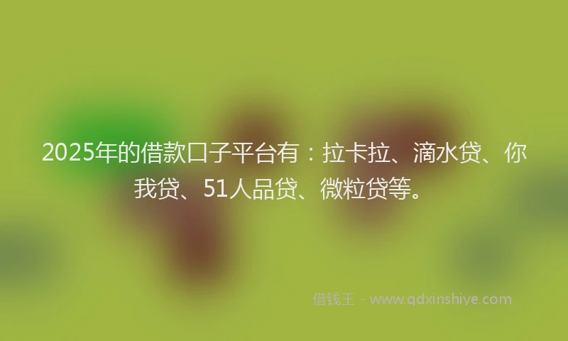 2025年的借款口子平台有：拉卡拉、滴水贷、你我贷、51人品贷、微粒贷等。