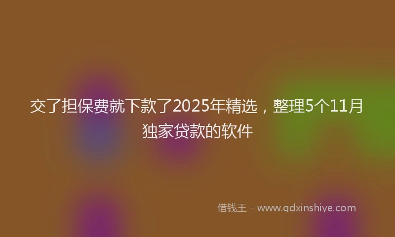 交了担保费就下款了2025年精选，整理5个11月独家贷款的软件