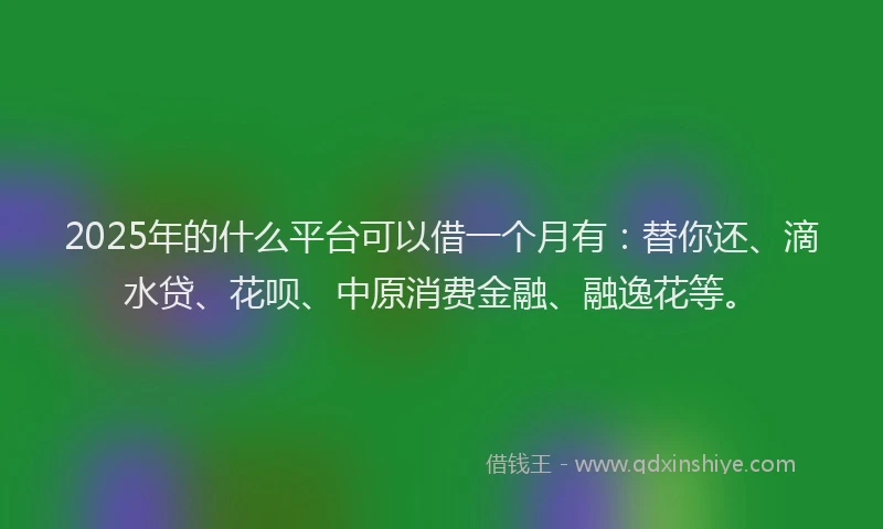 2025年的什么平台可以借一个月有：替你还、滴水贷、花呗、中原消费金融、融逸花等。